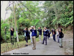 Bird-Watching organised by Nature Trekker1