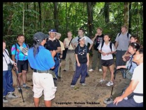 Guide Teaching at Taman Negara1